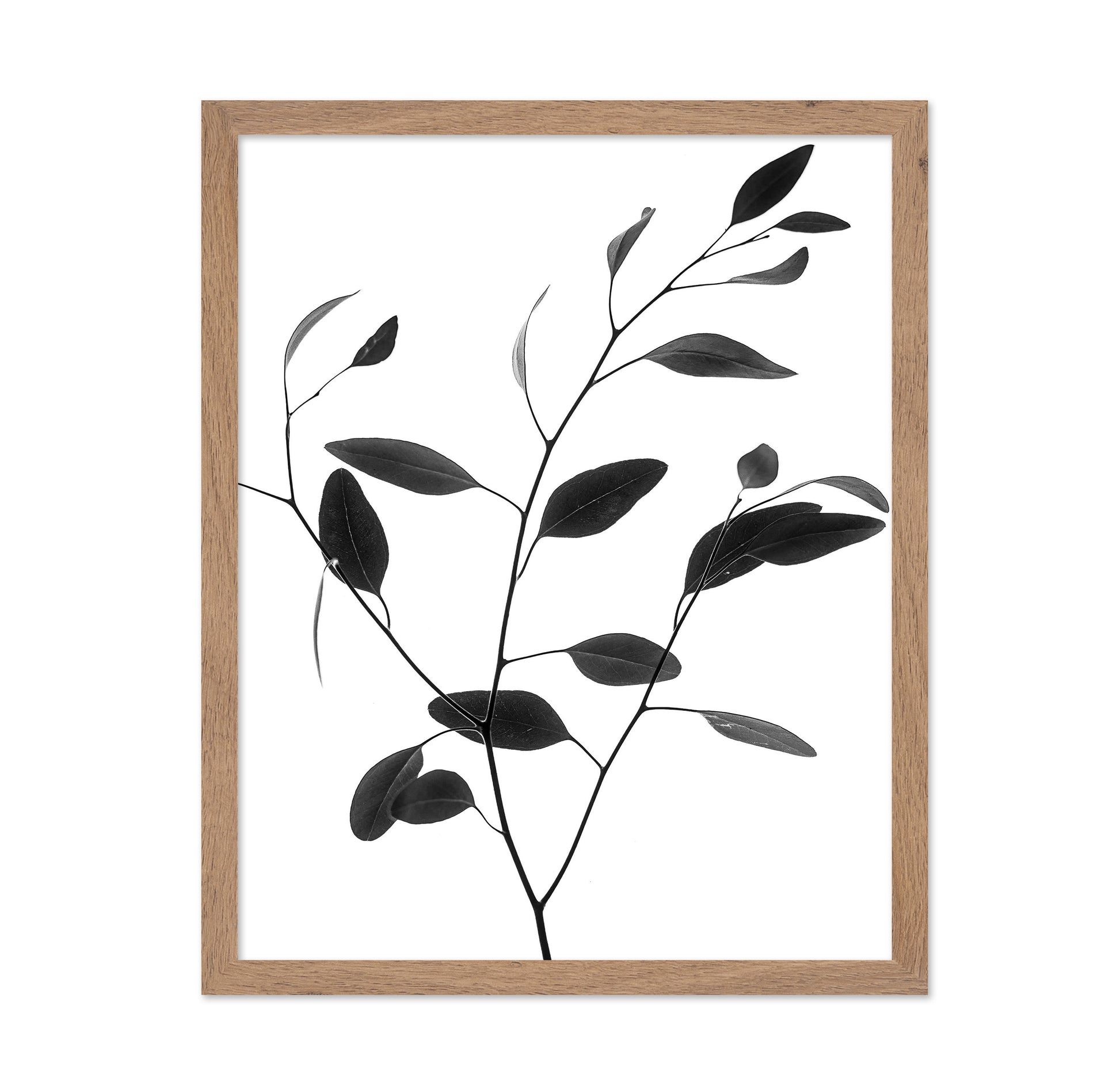 Minimal Leaf Branch No1