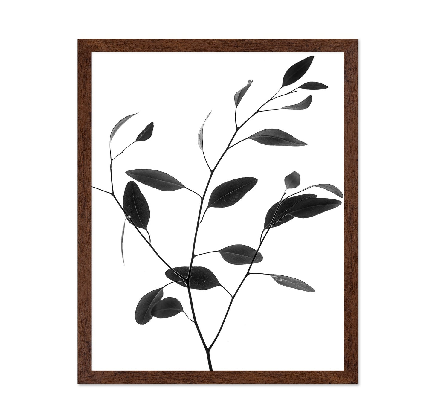 Minimal Leaf Branch No1