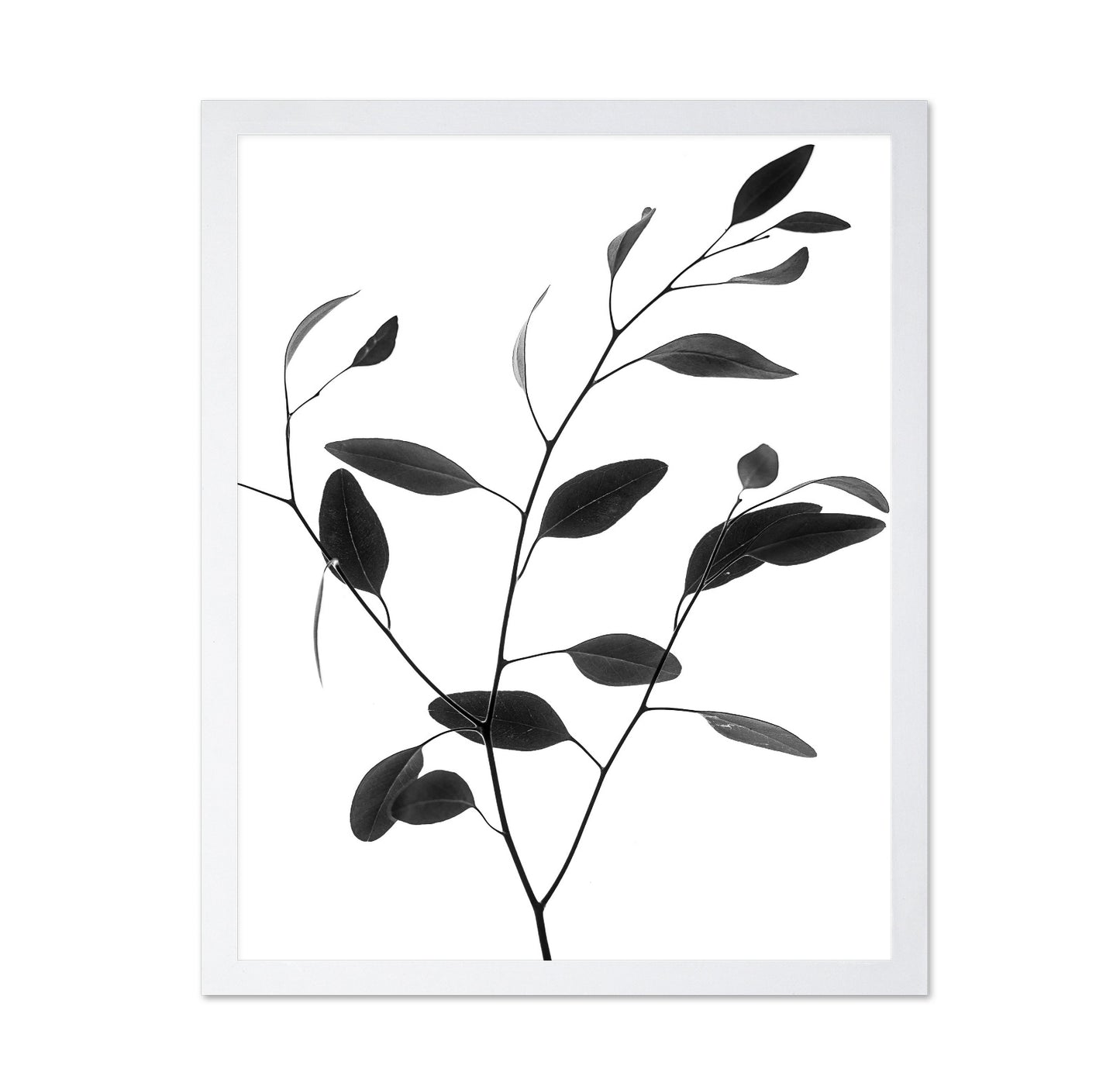Minimal Leaf Branch No1