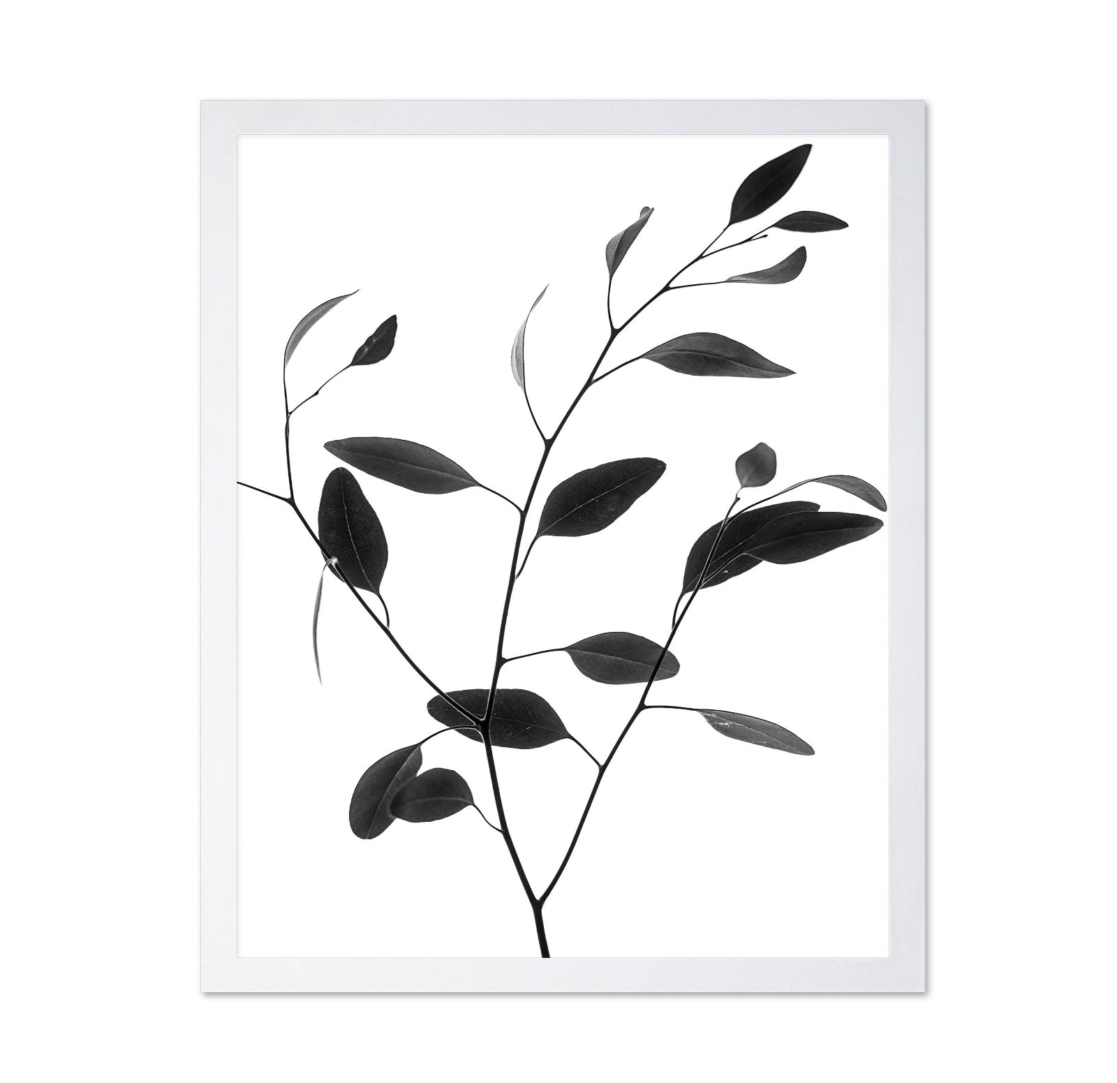 Minimal Leaf Branch No1