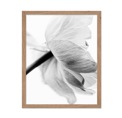 Soft Floral Closeup