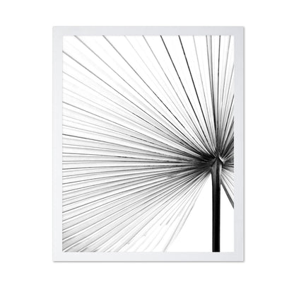 Palm Leaf Lines No2