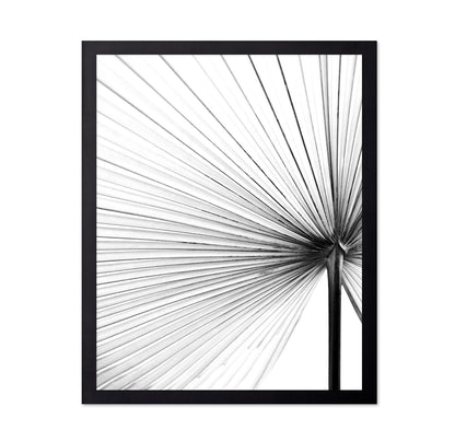 Palm Leaf Lines No2