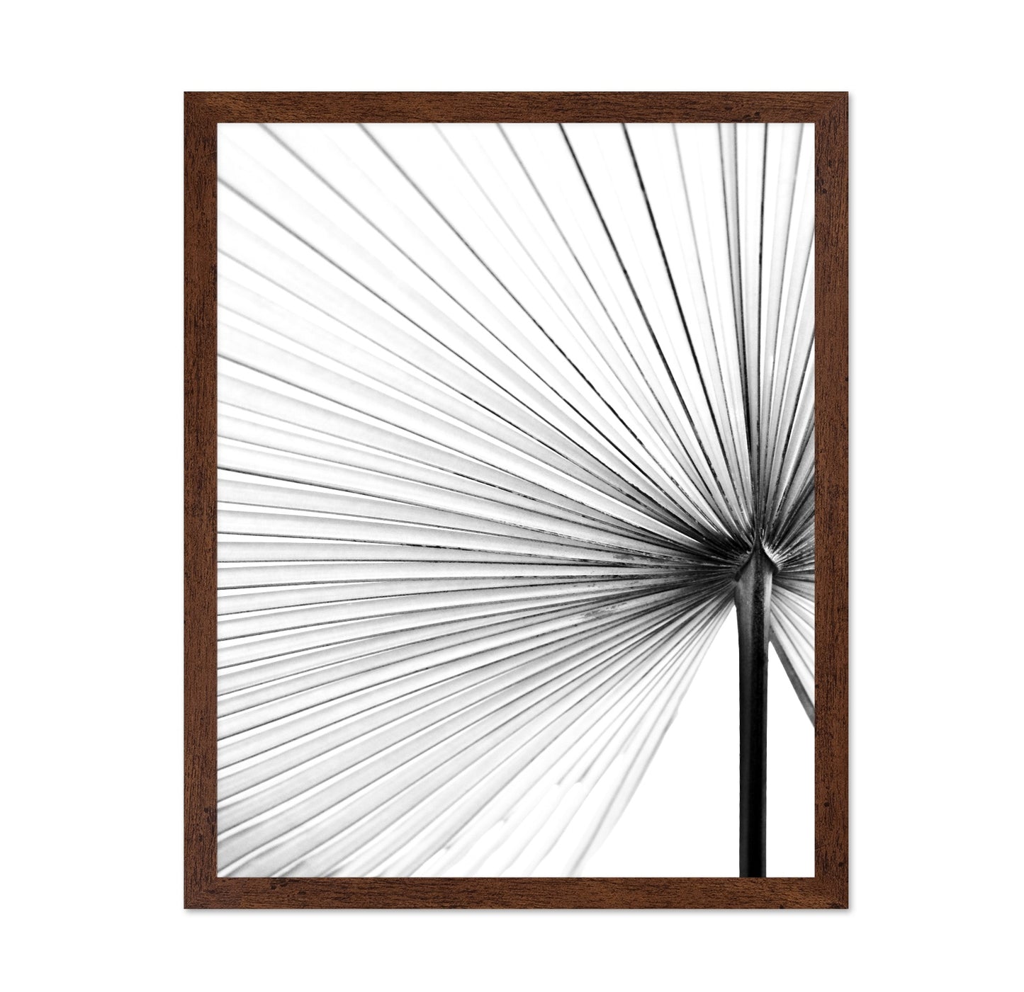 Palm Leaf Lines No2