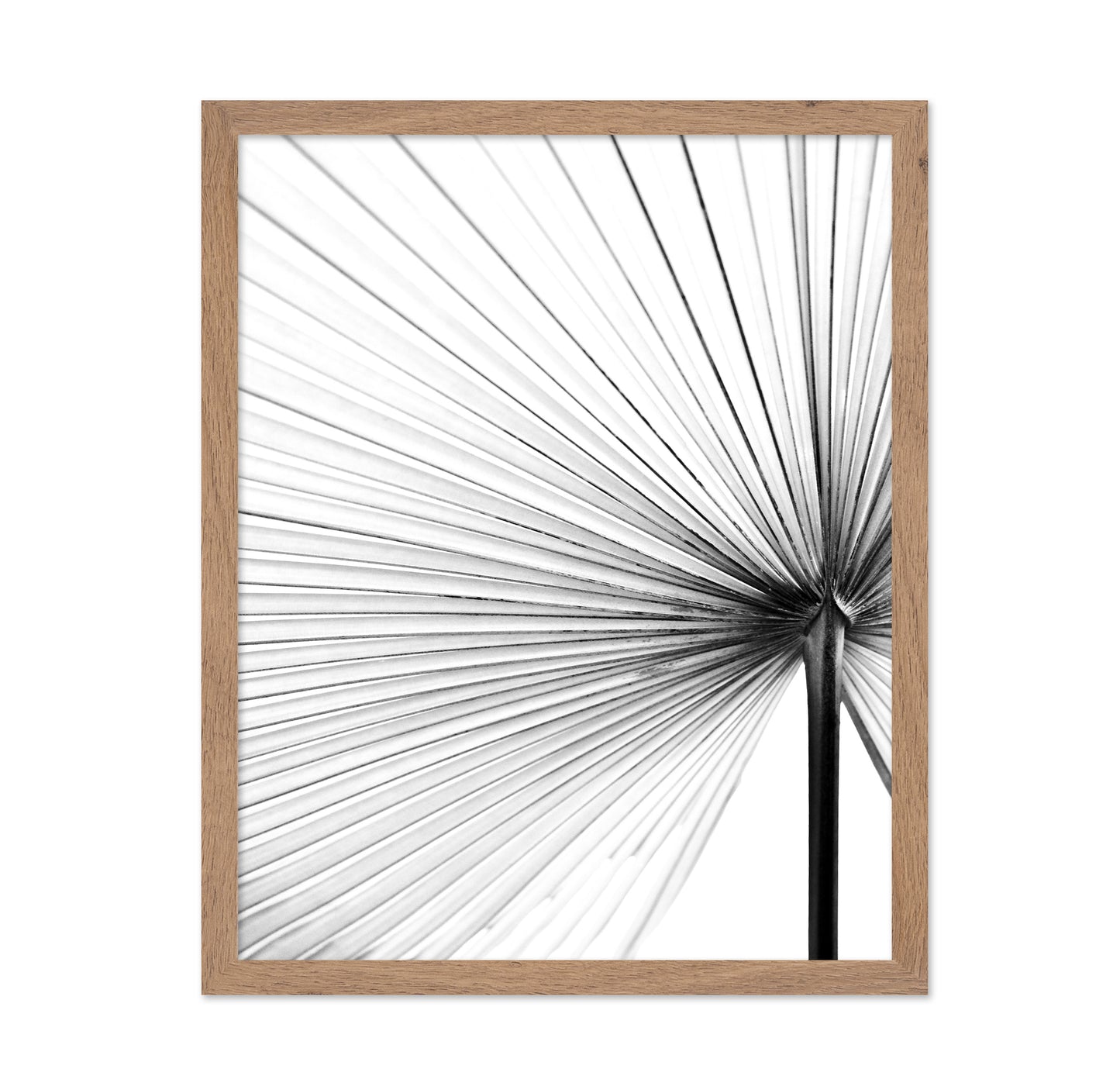 Palm Leaf Lines No2