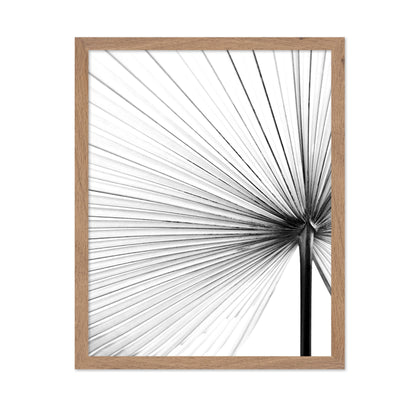 Palm Leaf Lines No2