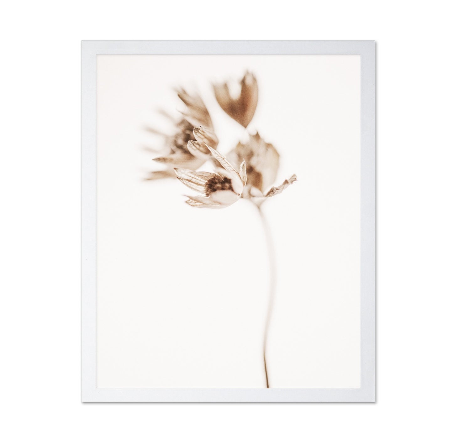 Soft Botanical Stem