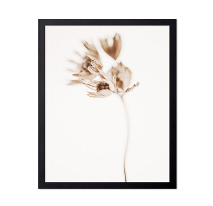 Soft Botanical Stem