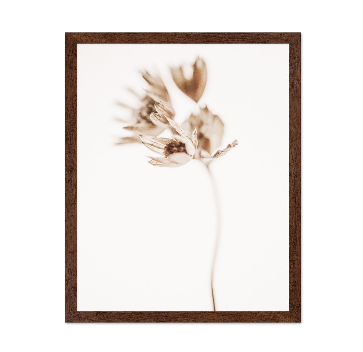 Soft Botanical Stem