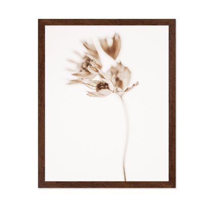 Soft Botanical Stem