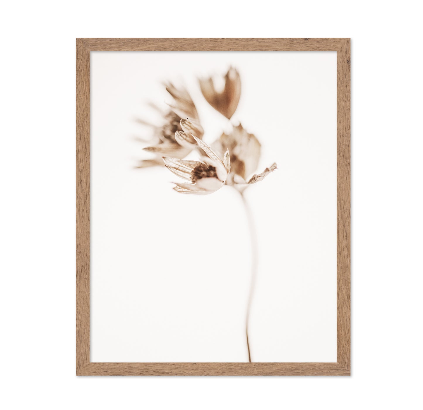 Soft Botanical Stem