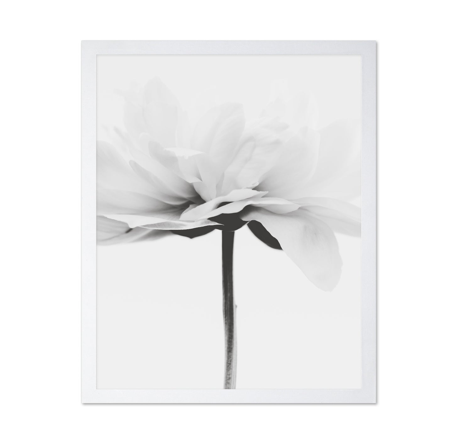 Minimal Flower Stem