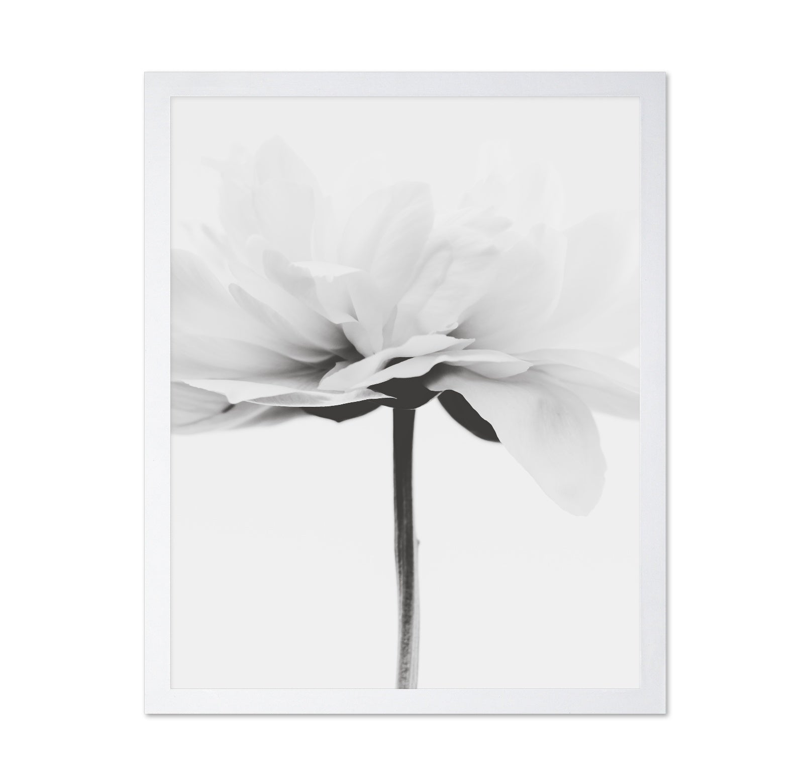 Minimal Flower Stem