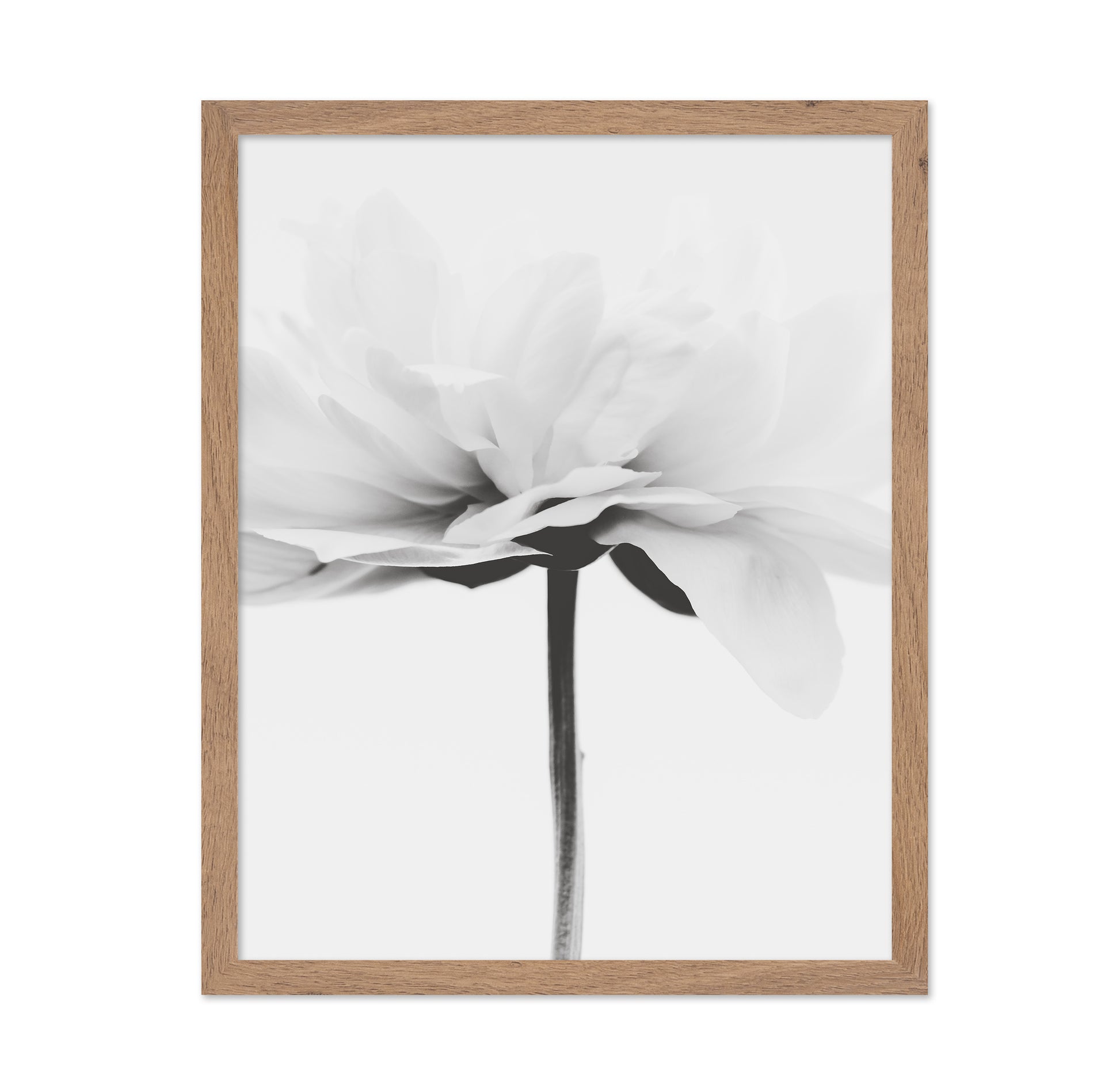 Minimal Flower Stem