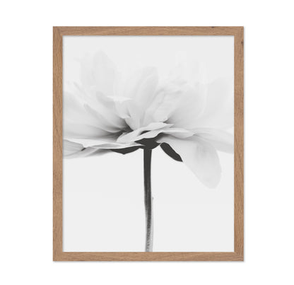 Minimal Flower Stem