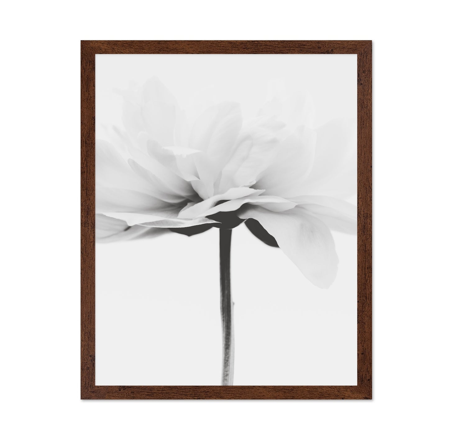 Minimal Flower Stem