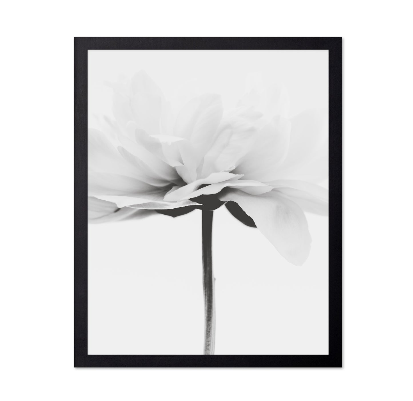 Minimal Flower Stem