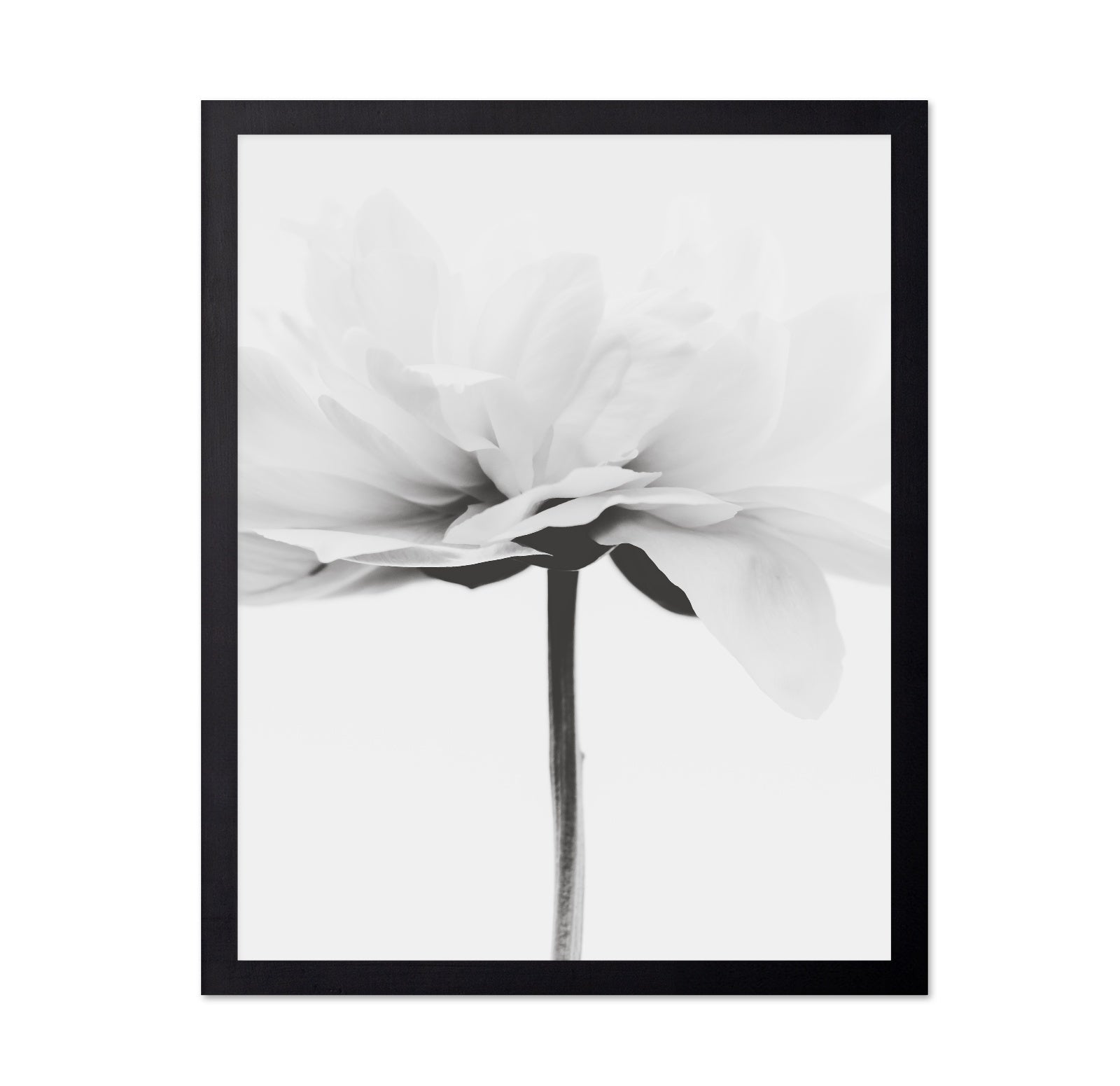 Minimal Flower Stem