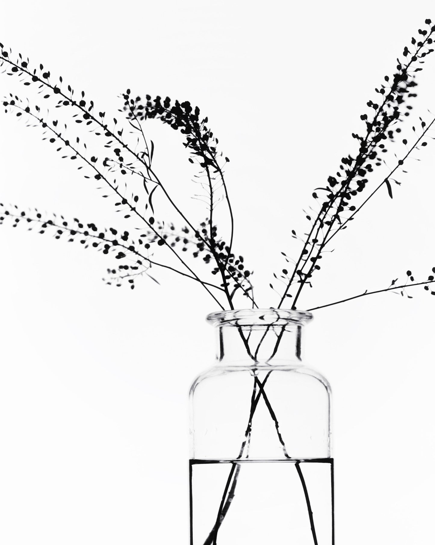 Minimal Branch Vase