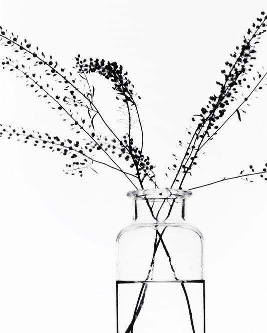 Minimal Branch Vase
