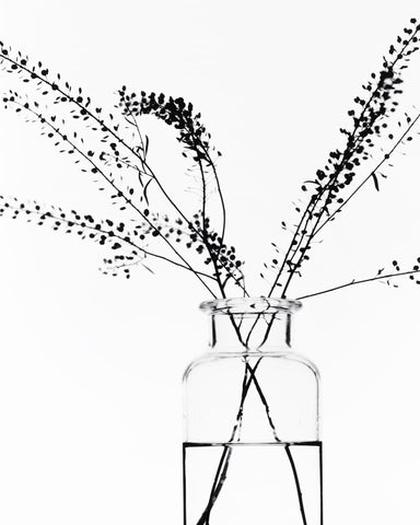 Minimal Branch Vase