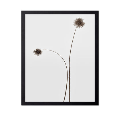 Minimal Botany Stems
