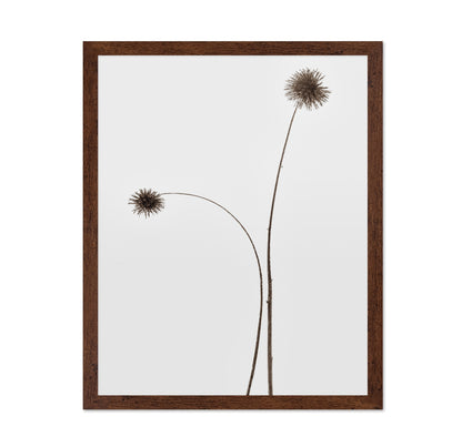 Minimal Botany Stems