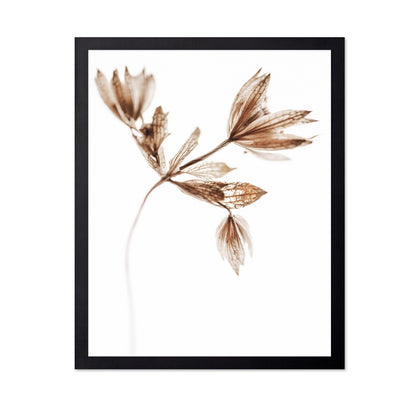 Golden Delicate Stem