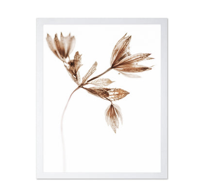 Golden Delicate Stem
