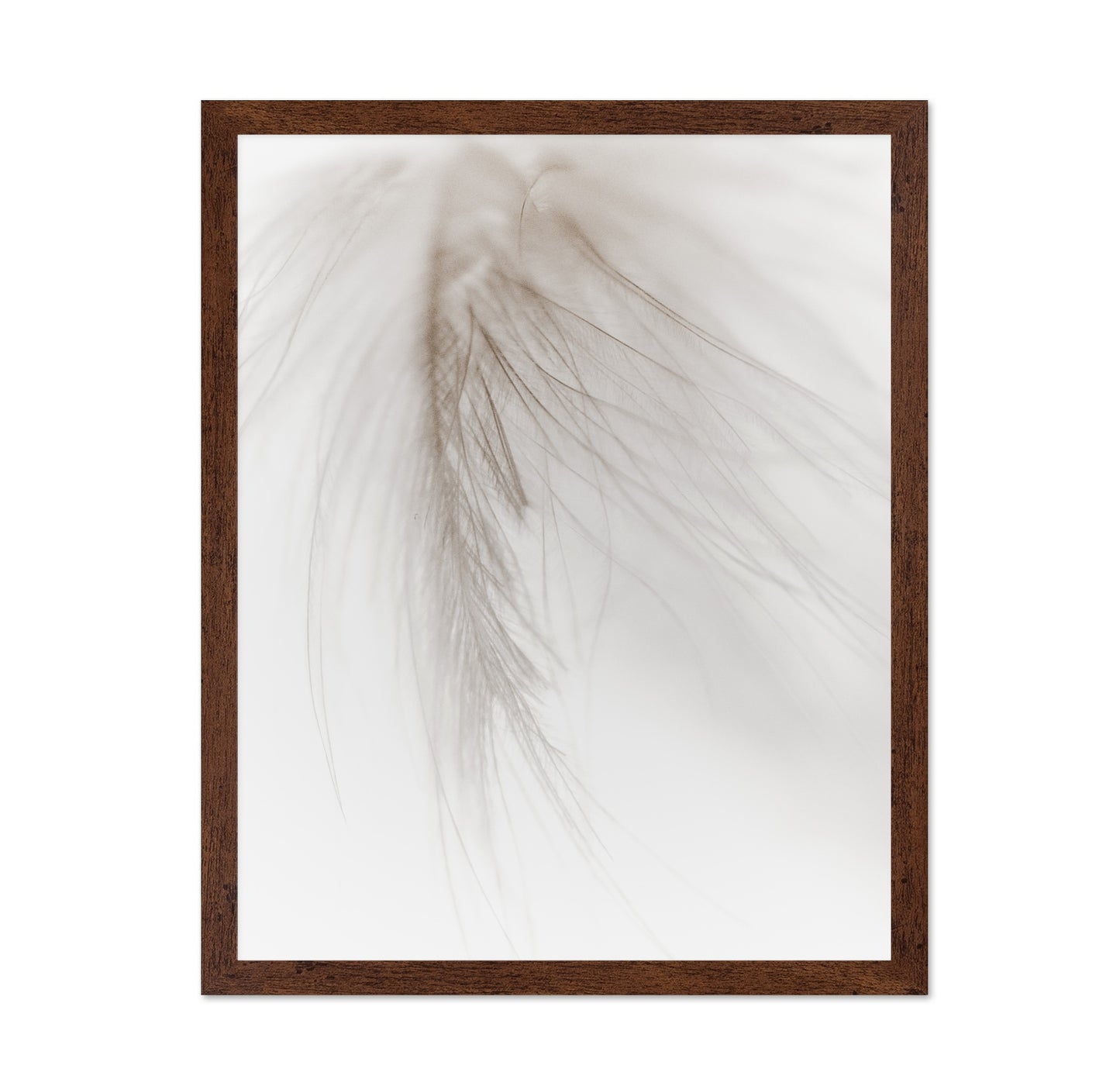 Soft Feather
