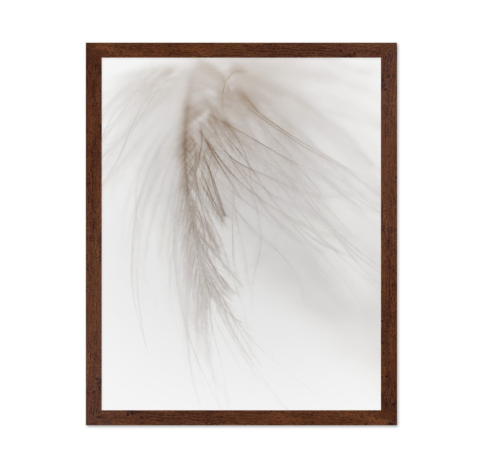 Soft Feather