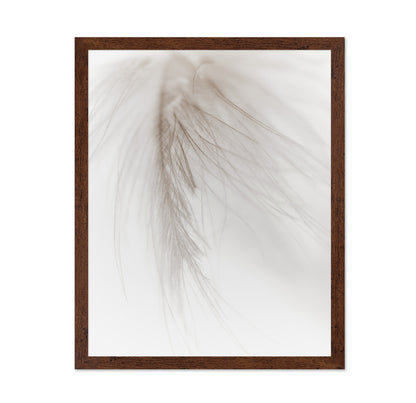 Soft Feather
