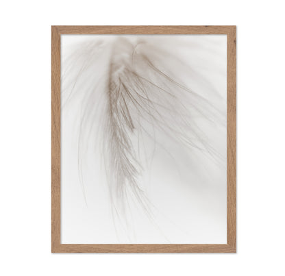 Soft Feather