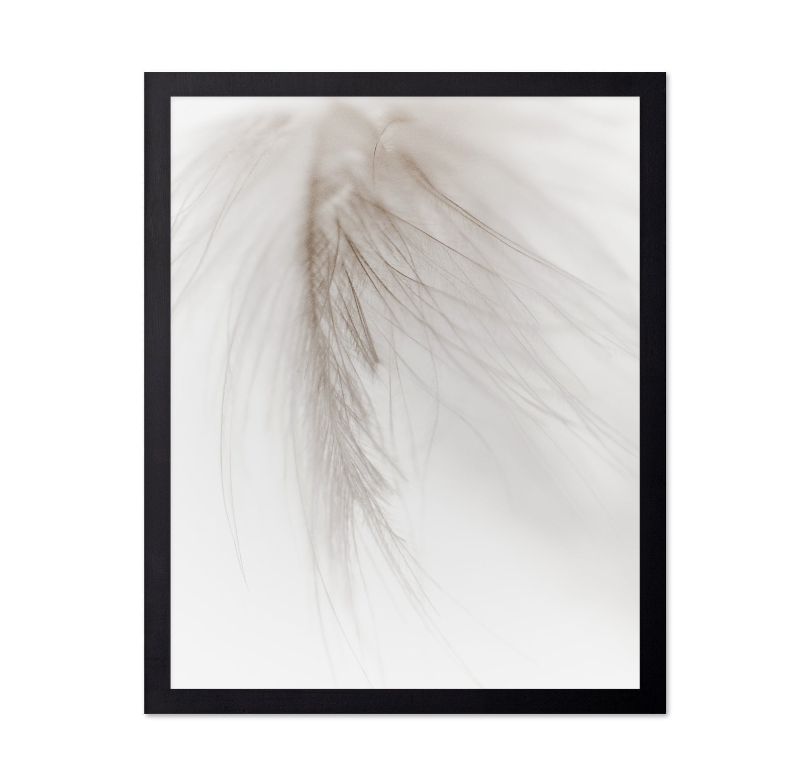 Soft Feather
