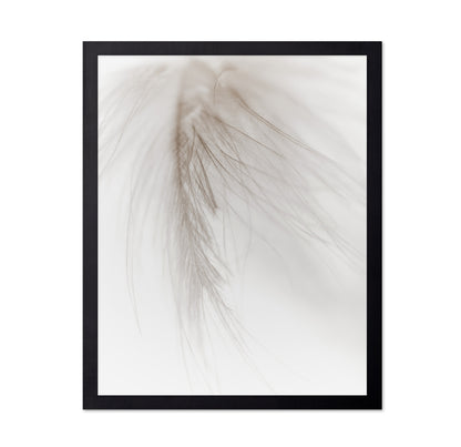 Soft Feather