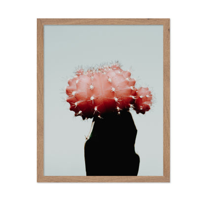 Red Cactus Bloom