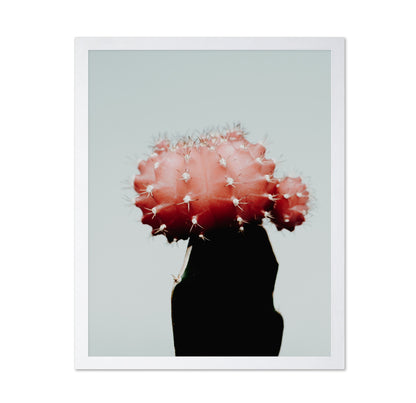 Red Cactus Bloom