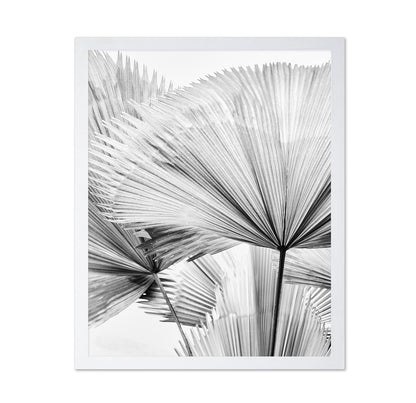 Palm Leaf Texture No2