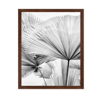 Palm Leaf Texture No2