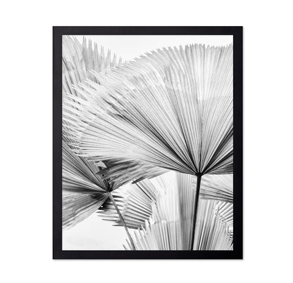 Palm Leaf Texture No2