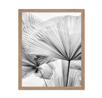 Palm Leaf Texture No2