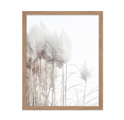 Soft Pampas Stems