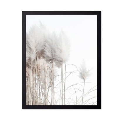 Soft Pampas Stems