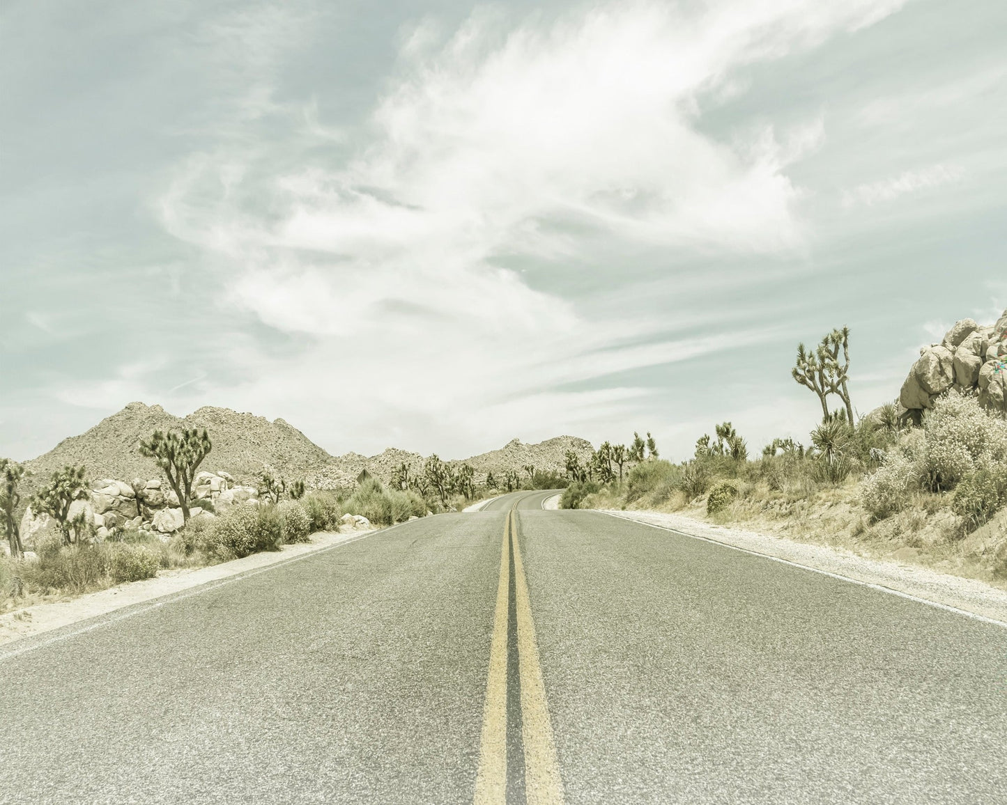 Joshua Tree Road No2