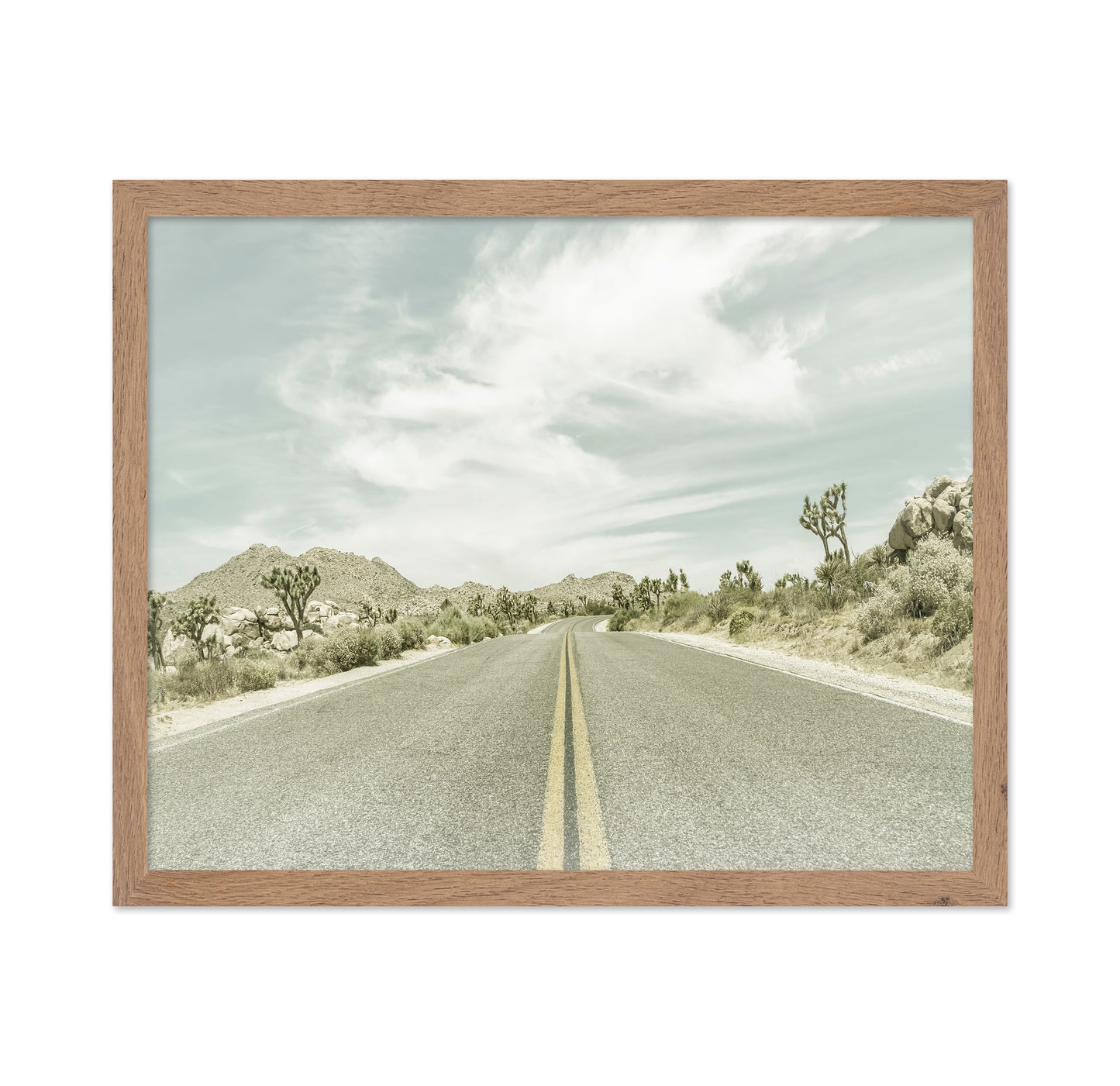 Joshua Tree Road No2