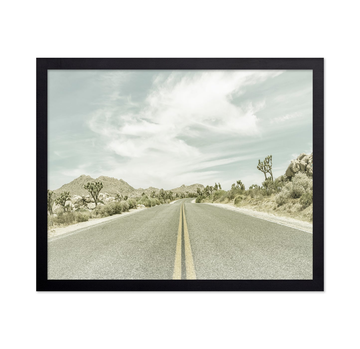 Joshua Tree Road No2