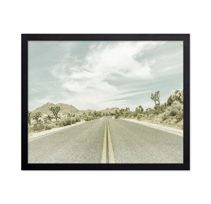 Joshua Tree Road No2
