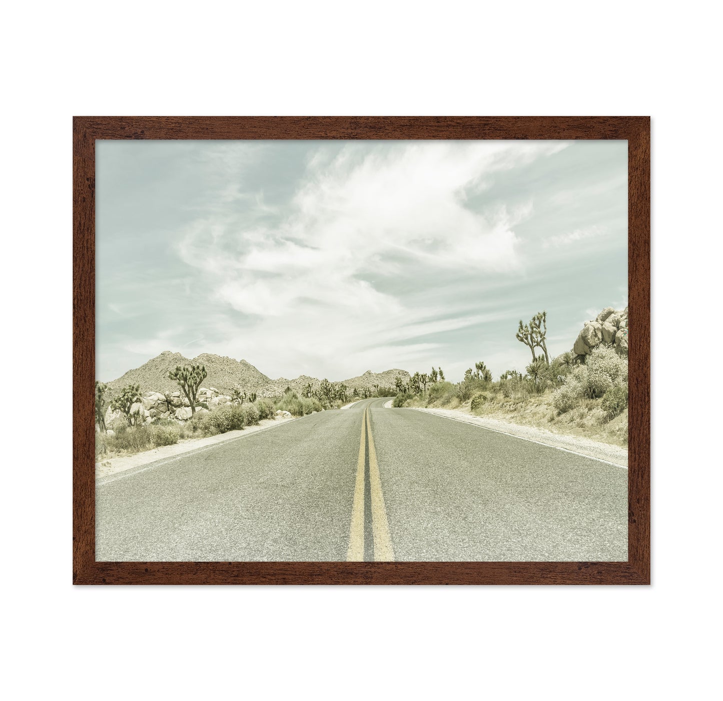 Joshua Tree Road No2