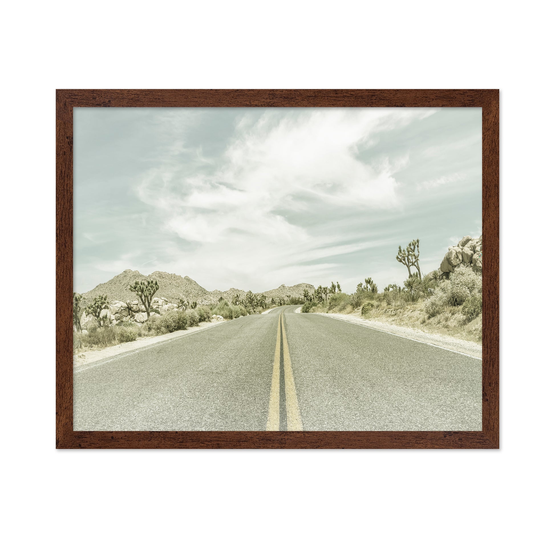Joshua Tree Road No2