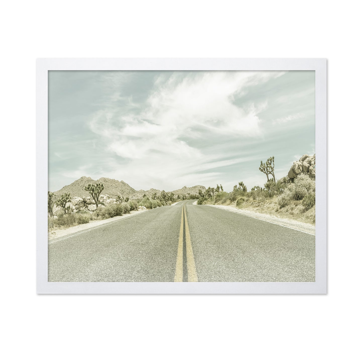 Joshua Tree Road No2